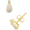 Diamond Accent Stud Earrings in 14K Yellow Gold or 14K White Gold