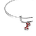 Pewter Heart Bone Paw Print Charm Bracelet